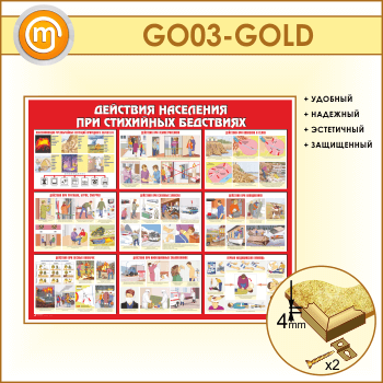       (GO-03-GOLD)